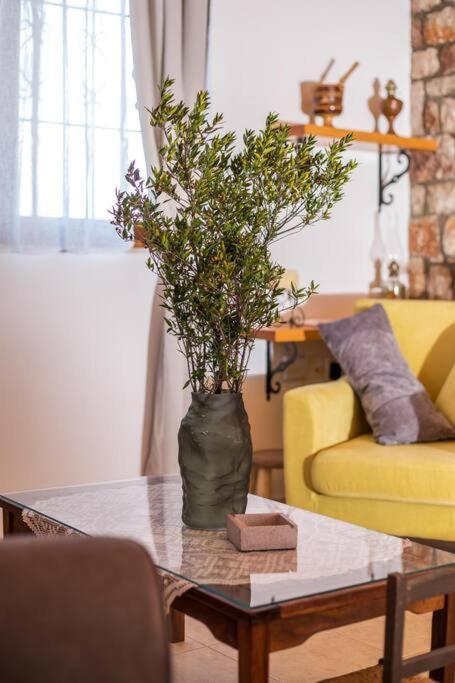 Petrino Eco Conscious Living *